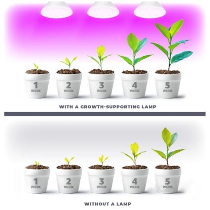 LED Λάμπα για την ανάπτυξη φυτών PLANTY E27/7W/230V 1200K λευκό
