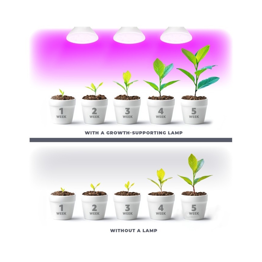 LED Λάμπα για την ανάπτυξη φυτών PLANTY E27/7W/230V 1200K λευκό