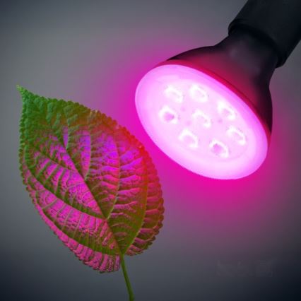 LED Λάμπα για την ανάπτυξη φυτών PLANTY E27/7W/230V 1200K μαύρο