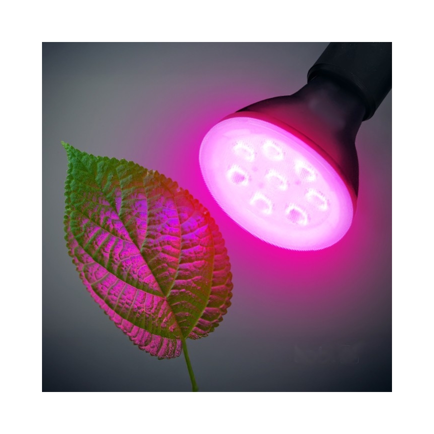 LED Λάμπα για την ανάπτυξη φυτών PLANTY E27/7W/230V 1200K μαύρο
