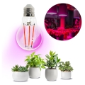 LED Λάμπα για την ανάπτυξη φυτών PLANTY E27/8W/230V 1200K