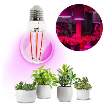 LED Λάμπα για την ανάπτυξη φυτών VITABLOOM E27/8W/230V 1200K - Brilagi