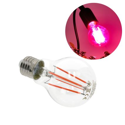 LED Λάμπα για την ανάπτυξη φυτών VITABLOOM E27/8W/230V 1200K - Brilagi