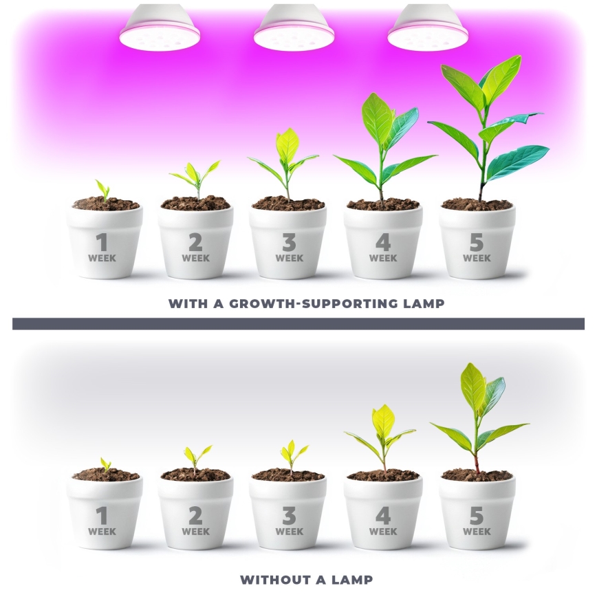 LED Λάμπα για την ανάπτυξη φυτών VITABLOOM E27/9W/230V 1200K λευκό - Brilagi
