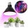 LED Λάμπα για την ανάπτυξη φυτών VITABLOOM E27/9W/230V 1200K μαύρο - Brilagi