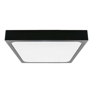 LED Οροφιαίο φωτιστικό μπάνιου LED/30W/230V 4000K IP44 42x42 εκ. μαύρο