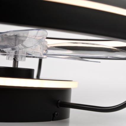 LED Ρυθμιζόμενο φωτιστικό οροφής με ανεμιστήρα FARGO LED/37W/230V μαύρο + τηλεχειριστήριο