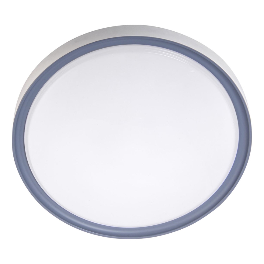 LED Οροφής Φωτιστικό LED/18W/230V διάμ. 30 εκ. λευκό/γκρι