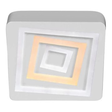 LED Οροφής Φωτιστικό LED/58W/230V 3000/4000/6000K