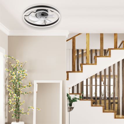 LED Ρυθμιζόμενο φωτιστικό οροφής με ανεμιστήρα APOLLO LED/38W/230V μαύρο + τηλεχειριστήριο