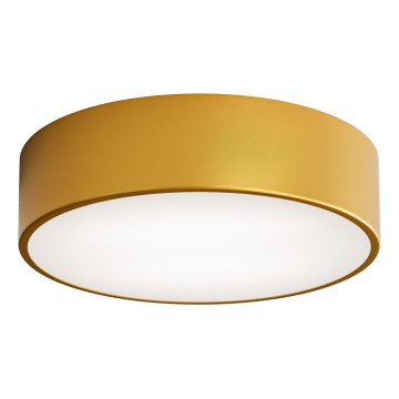 LED Οροφωτιστικό CLEO LED/24W/230V 4000K διάμ. 30 εκ. χρυσό