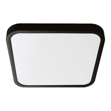 LED Οροφωτιστικό Μπάνιου SAMSUNG CHIP LED/24W/230V IP44 6500K 29x29 εκ. μαύρο