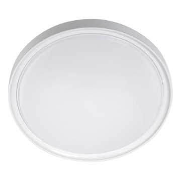 LED Οροφής Φωτιστικό LED/18W/230V διάμ. 30 εκ. λευκό