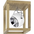 LED Οροφής φωτιστικό ROY 1xGU10/5W/230V ματ δρυς