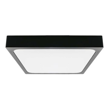 LED Οροφής Φωτιστικό Μπάνιου LED/30W/230V 6500K IP44 42x42 εκ. μαύρο