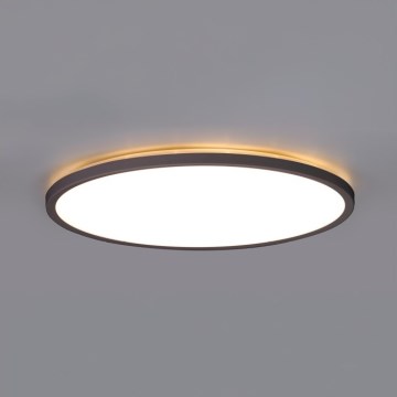 LED Οροφής Φωτιστικό Μπάνιου NIVERA LED/24W/230V IP54 3000/4000/6000K διάμ. 30 εκ. μαύρο