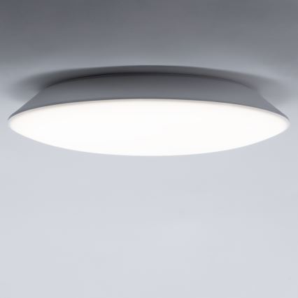 LED Οροφωτιστικό μπάνιου AVESTA LED/12W/230V 4000K IP54