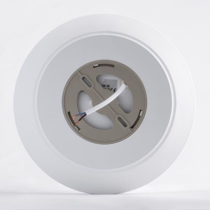 LED Οροφωτιστικό μπάνιου AVESTA LED/12W/230V 4000K IP54