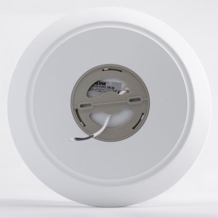 LED Οροφωτιστικό μπάνιου AVESTA LED/18W/230V 4000K IP54
