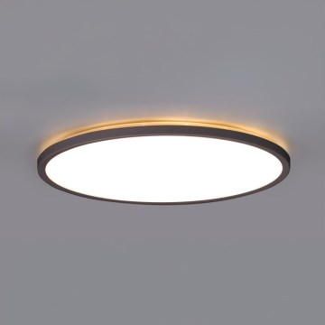 LED Οροφιαίο φωτιστικό μπάνιου NIVERA LED/12W/230V IP54 3000/4000/6000K διάμ. 22,5 εκ. μαύρο