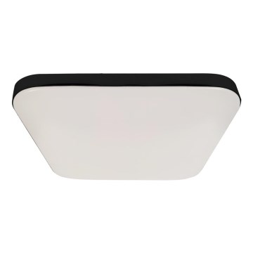 LED Οροφιαίο φωτιστικό μπάνιου με αισθητήρα NEMO LED/16W/230V IP44 μαύρο