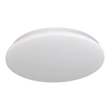 LED Οροφωτιστικό μπάνιου ADAR LED/12W/230V IP44 4000K