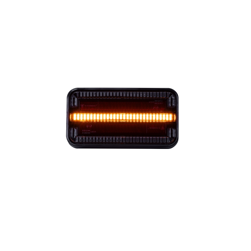 LED Πίσω φώτα συνδυασμένα LED/12-24V IP65