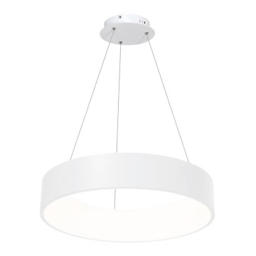 LED Πολύφωτο κρεμαστό με σύρμα OHIO LED/24W/230V