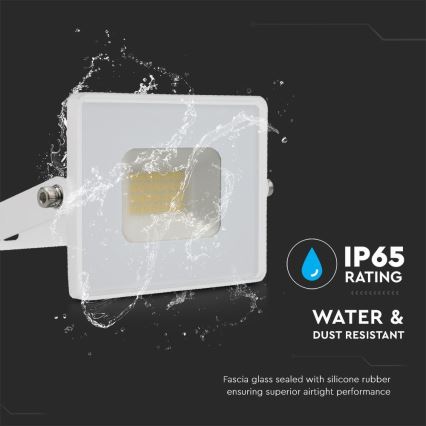 LED Προβολέας LED/20W/230V 6500K IP65 λευκό