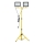 LED Προβολέας με βάση TIGRA 2xLED/100W/230V 4000K IP54 μαύρο/κίτρινο