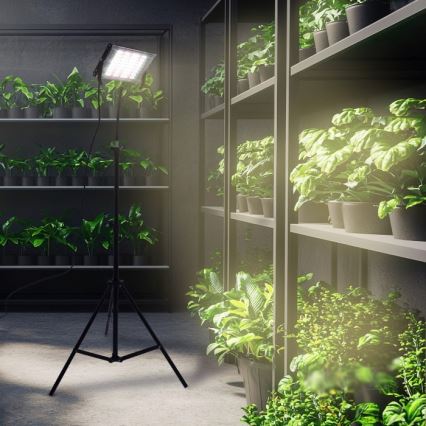 LED Προβολέας με βάση για ανάπτυξη φυτών FIRON LED/45W/230V IP54 μαύρο
