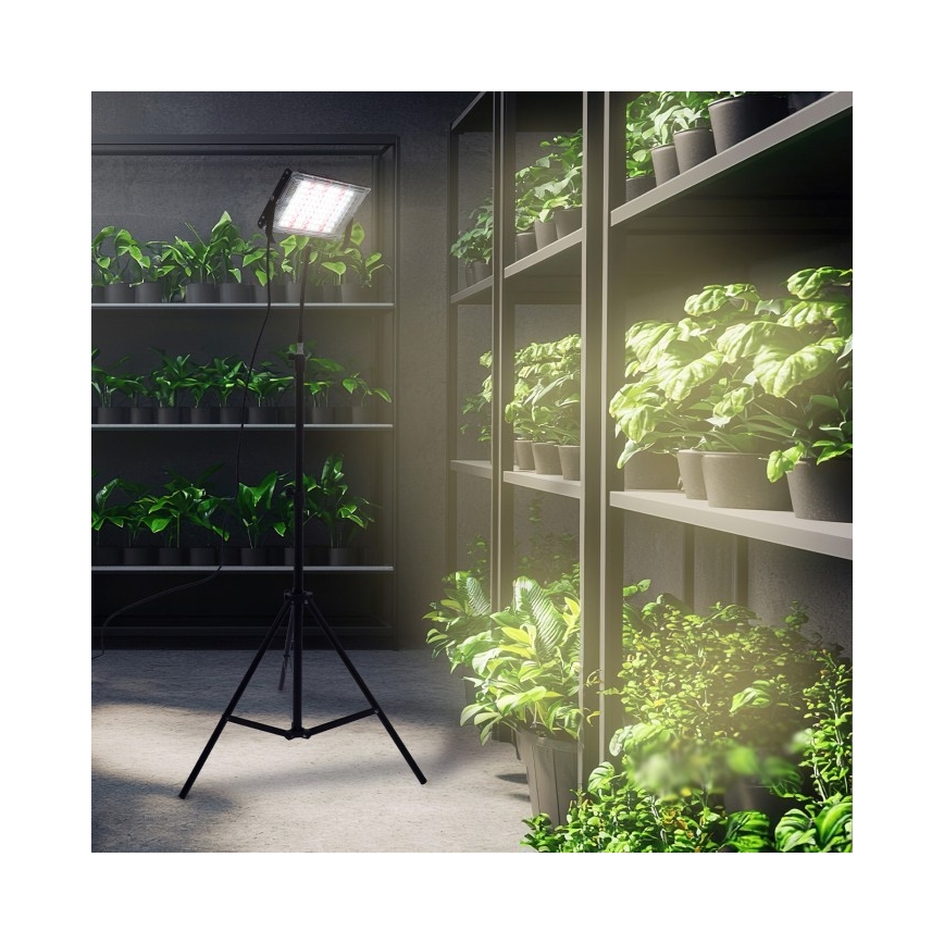 LED Προβολέας με βάση για ανάπτυξη φυτών FIRON LED/45W/230V IP54 μαύρο