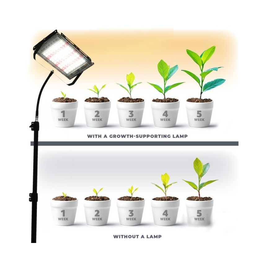 LED Προβολέας με βάση για ανάπτυξη φυτών FIRON LED/45W/230V IP54 μαύρο