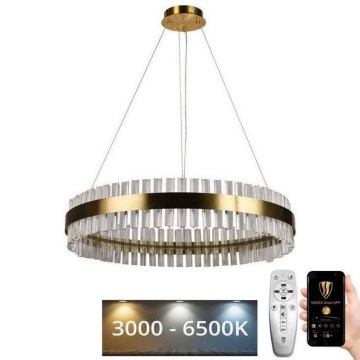 LED Ρυθμιζόμενο κρυστάλλινο φωτιστικό οροφής με καλώδιο LED/55W/230V 3000-6500K + τηλεχειριστήριο