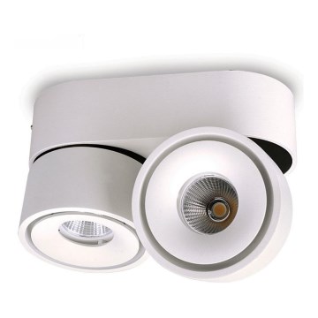 LED Ρυθμιζόμενο Σποτ Φωτιστικό LAHTI MINI 2xLED/9W/230V 3000K CRI 90 λευκό