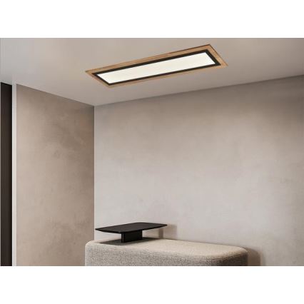 LED ρυθμιζόμενο φωτιστικό οροφής/55W/230V 3000-6500K + τηλεχειριστήριο