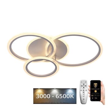 LED Ρυθμιζόμενο φωτιστικό οροφής LED/40W/230V 3000-6500K λευκό + τηλεχειριστήριο