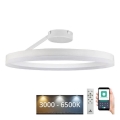 LED Ρυθμιζόμενο φωτιστικό οροφής LED/40W/230V 3000-6500K λευκό + τηλεχειριστήριο