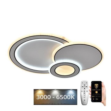 LED Ρυθμιζόμενο φωτιστικό οροφής LED/40W/230V 3000-6500K + τηλεχειριστήριο