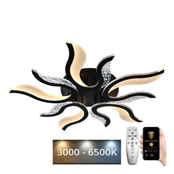 LED Ρυθμιζόμενο φωτιστικό οροφής LED/65W/230V 3000-6500K μαύρο με τηλεχειριστήριο
