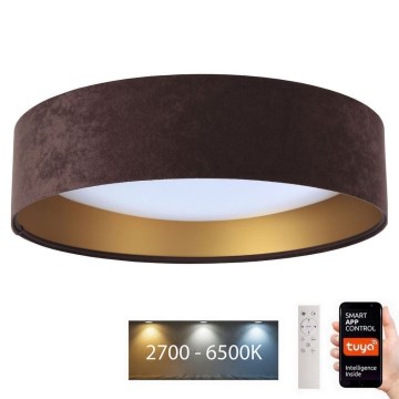 LED Ρυθμιζόμενο Φωτιστικό Οροφής SMART GALAXY LED/36W/230V διάμ. 55 εκ. 2700-6500K Wi-Fi Tuya καφέ/χρυσό + τηλεχειριστήριο