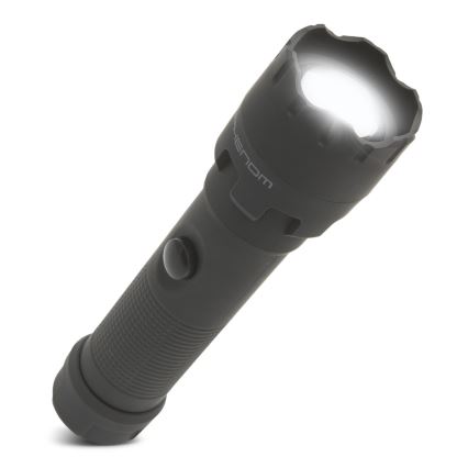 LED Φακός LED/4xAAA IP54