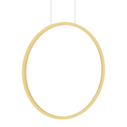 Φωτιστικό LED με καλώδιο SATURNO LED/28W/230V διάμ. 50 εκ. IP44 χρυσό