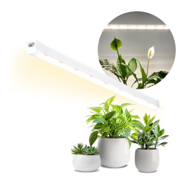 LED Φωτιστικό για καλλιέργεια φυτών GROWLY LED/15W/230V