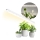 LED Φωτιστικό για καλλιέργεια φυτών GROWLY LED/15W/230V