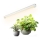LED Φωτιστικό για καλλιέργεια φυτών GROWLY LED/9W/230V λευκό