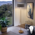 LED Φωτιστικό δαπέδου TUNJA 1xE27/20W/230V Ø 38 cm χρυσό/καφέ