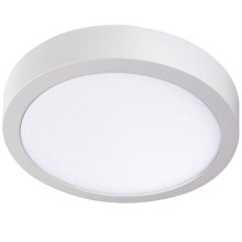 LED Φωτιστικό οροφής CARSA LED/24W/230V 4000K λευκό