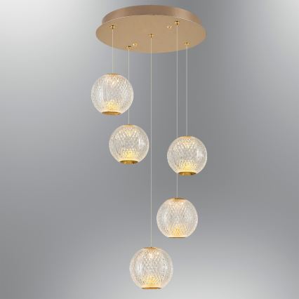 LED Φωτιστικό οροφής CREMONA 5xLED/5W/230V 3000K χρυσό