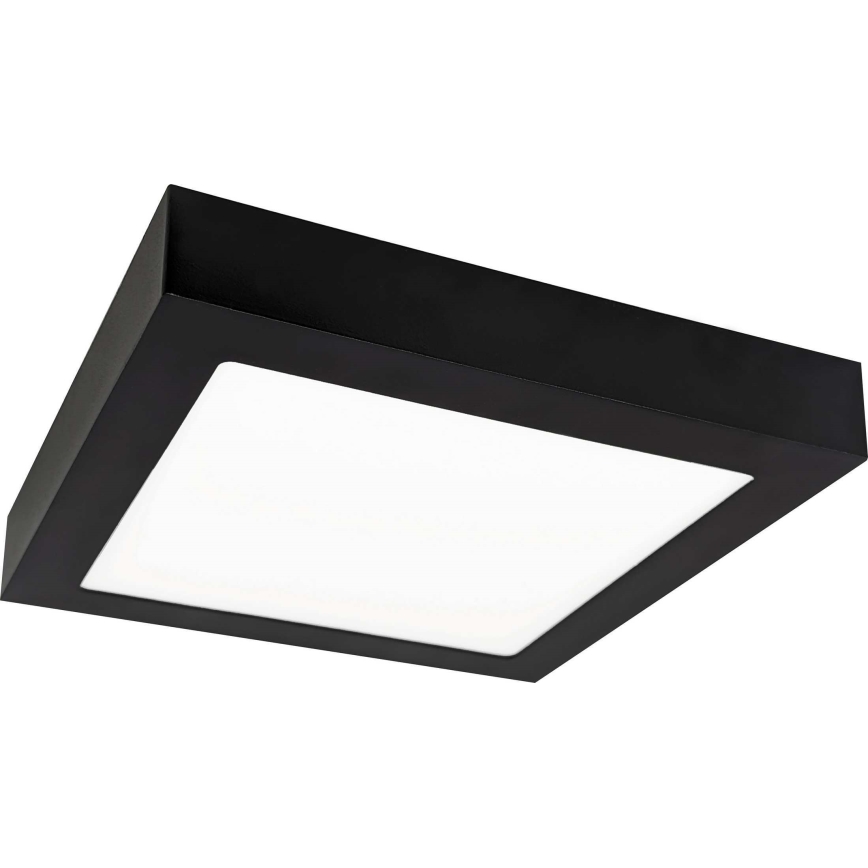LED Φωτιστικό οροφής FENIX LED/12W/230V 3800K 17 cm